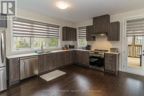 1020 Ridgeline Drive, Lake Of Bays, ON - Indoor Photo Showing Kitchen With Double Sink