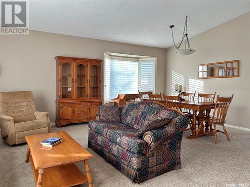 101 Mount Allison Crescent, Saskatoon, SK - Indoor Photo Showing Living Room