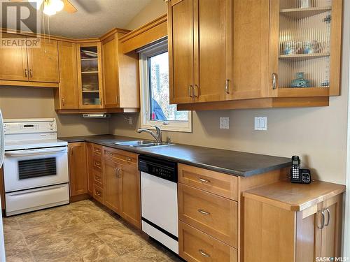 101 Mount Allison Crescent, Saskatoon, SK - Indoor Photo Showing Kitchen With Double Sink