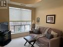 505 - 483 Faith Drive, Mississauga, ON  - Indoor Photo Showing Living Room 