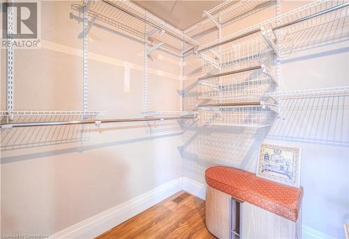 Walk in closet featuring wood-type flooring - 83 Bridlewreath Street, Kitchener, ON - Indoor With Storage