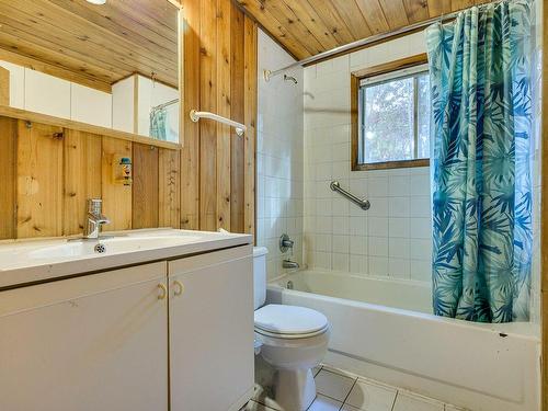 Bathroom - 248 Ch. Pioneer, Saint-Adolphe-D'Howard, QC - Indoor Photo Showing Bathroom