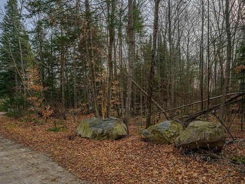 Wooded area - 248 Ch. Pioneer, Saint-Adolphe-D'Howard, QC - Outdoor With View