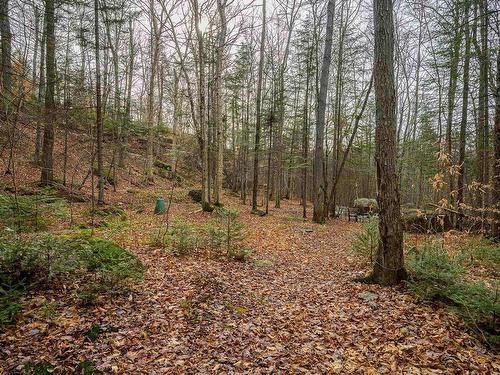 Wooded area - 248 Ch. Pioneer, Saint-Adolphe-D'Howard, QC - Outdoor With View