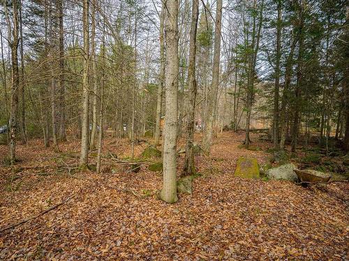 Wooded area - 248 Ch. Pioneer, Saint-Adolphe-D'Howard, QC - Outdoor With View