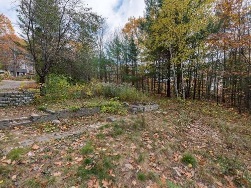 Cour - 2206 Ch. Mcgill, Sainte-Julienne, QC - Outdoor With View