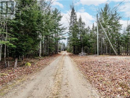 440 Kent Lake South Road, Kent Lake, NB - Outdoor With View