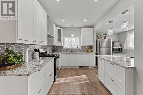 12445 Lanoue Street, Tecumseh, ON - Indoor Photo Showing Kitchen With Upgraded Kitchen