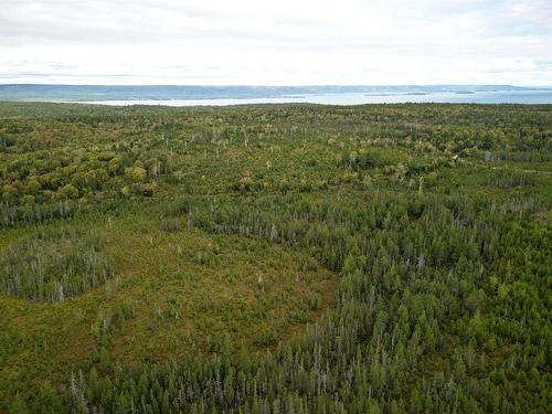 50 Acres Rear Black River Road, Grande Anse, NS 