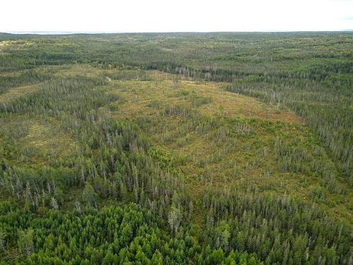 50 Acres Rear Black River Road, Grande Anse, NS 