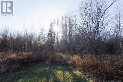 51 Sutherland Brook Road, Dsl De Drummond/Dsl Of Drummond, NB - Outdoor With View