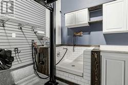 Dog wash and built in cabinets within garage - 