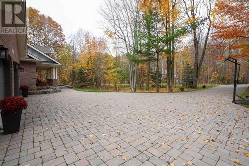 5 Northwood Court, Oro-Medonte, ON - Outdoor