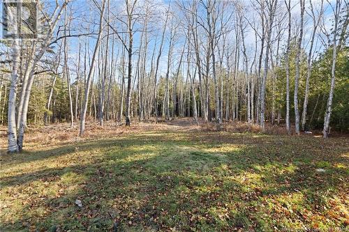 47 Christopher Drive, Burton, NB - Outdoor With View