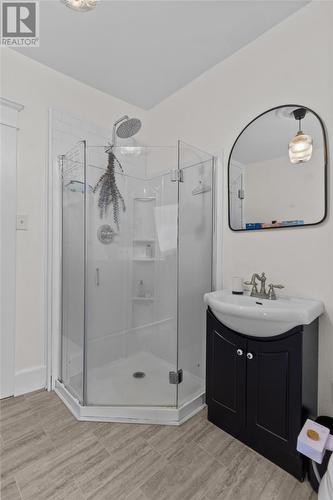 24 Victoria Street, St. John'S, NL - Indoor Photo Showing Bathroom