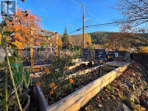 701 Seventh Street, Nelson, BC - Outdoor