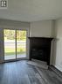 202B - 221 North Park Street, Belleville, ON  - Indoor Photo Showing Living Room With Fireplace 