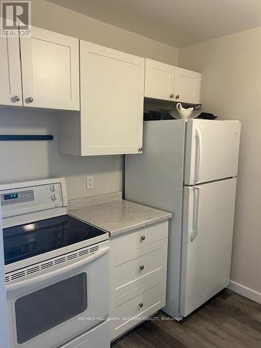 202B - 221 North Park Street, Belleville, ON - Indoor Photo Showing Kitchen