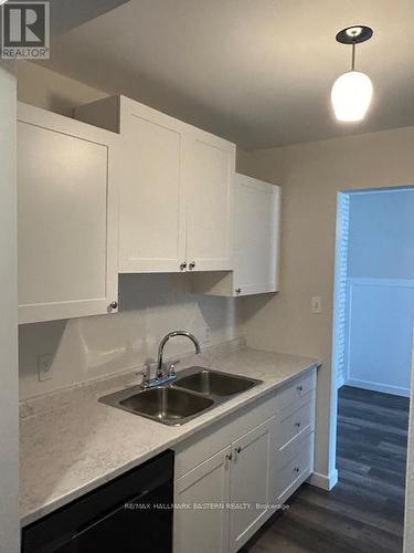 202B - 221 North Park Street, Belleville, ON - Indoor Photo Showing Kitchen With Double Sink