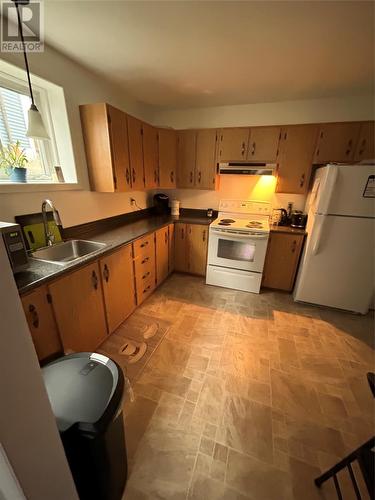 265 Canada Drive, St. John'S, NL - Indoor Photo Showing Kitchen