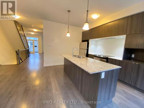 313 Squire Crescent, Oakville, ON - Indoor Photo Showing Kitchen With Double Sink