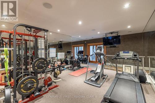 60 Sir Robert Place, Middlesex Centre (Arva), ON - Indoor Photo Showing Gym Room