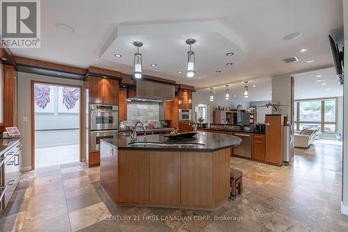 60 Sir Robert Place, Middlesex Centre (Arva), ON - Indoor Photo Showing Kitchen With Upgraded Kitchen