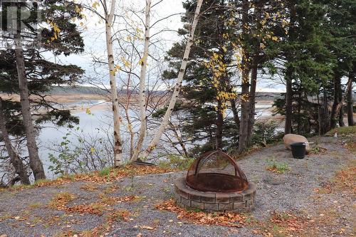 699 Winterhouse Road, St Davids, NL - Outdoor With View