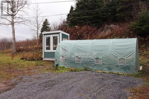 699 Winterhouse Road, St Davids, NL - Outdoor