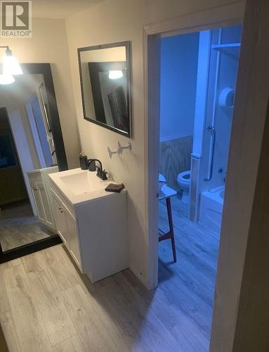 792 Water Street, Bay Roberts, NL - Indoor Photo Showing Bathroom