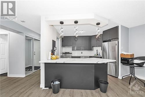 1025 Grenon Avenue Unit#201, Ottawa, ON - Indoor Photo Showing Kitchen With Stainless Steel Kitchen With Upgraded Kitchen