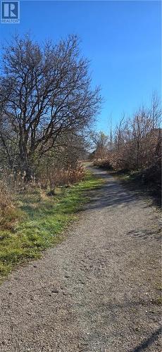 Pert of the trail leading to Apple park - 625 Blackbridge Road Unit# 12, Cambridge, ON - Outdoor With View