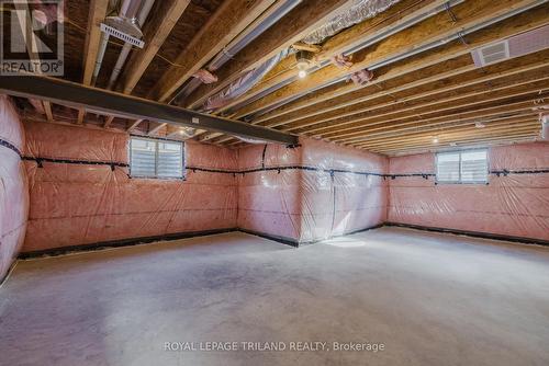 20 Allister Drive, Middlesex Centre, ON - Indoor Photo Showing Basement