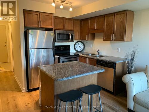 316 - 18 Harding Boulevard, Richmond Hill (Harding), ON - Indoor Photo Showing Kitchen With Stainless Steel Kitchen With Double Sink