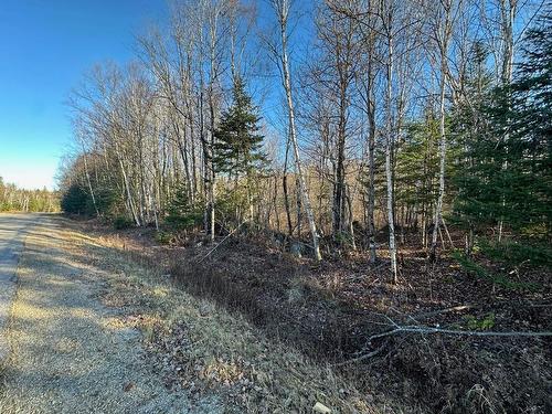 Terre/Terrain - Mtée Du Lac-Marsan, Rivière-Rouge, QC 