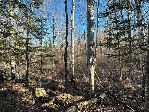 Terre/Terrain - Mtée Du Lac-Marsan, Rivière-Rouge, QC 