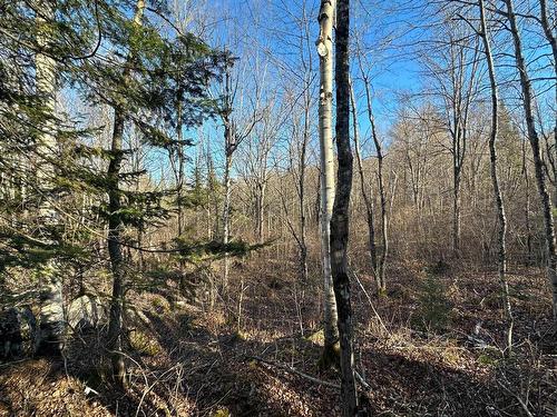 Terre/Terrain - Mtée Du Lac-Marsan, Rivière-Rouge, QC 