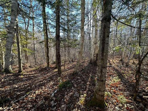 Terre/Terrain - Mtée Du Lac-Marsan, Rivière-Rouge, QC 