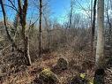 Terre/Terrain - Mtée Du Lac-Marsan, Rivière-Rouge, QC 