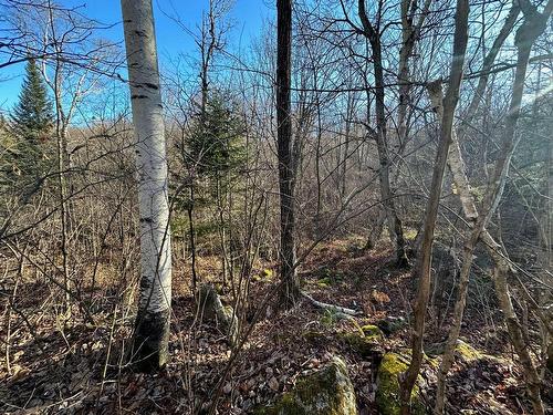 Terre/Terrain - Mtée Du Lac-Marsan, Rivière-Rouge, QC 