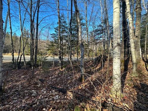 Terre/Terrain - Mtée Du Lac-Marsan, Rivière-Rouge, QC 