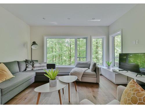 Salon - 202-89 Rue Jones, Bromont, QC - Indoor Photo Showing Living Room