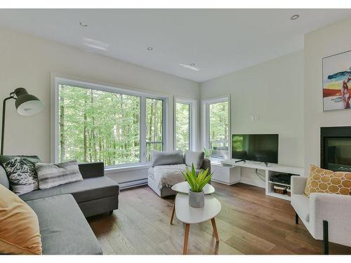 Salon - 202-89 Rue Jones, Bromont, QC - Indoor Photo Showing Living Room