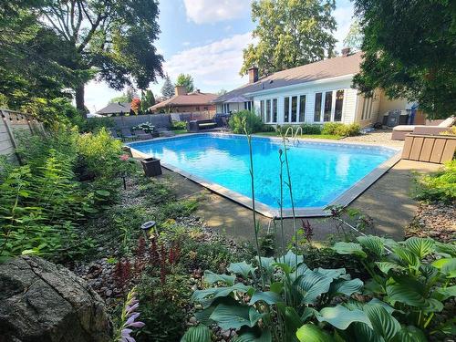 Backyard - 131 Av. De Dulwich, Saint-Lambert, QC - Outdoor With In Ground Pool With Backyard