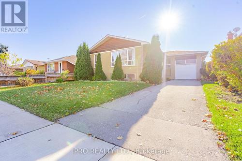 36 Summerfield Crescent, Toronto, ON - Outdoor