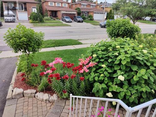 129 Glen Shields Avenue, Vaughan, ON - Outdoor