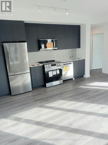 317 - 225 Malta Avenue, Brampton, ON - Indoor Photo Showing Kitchen