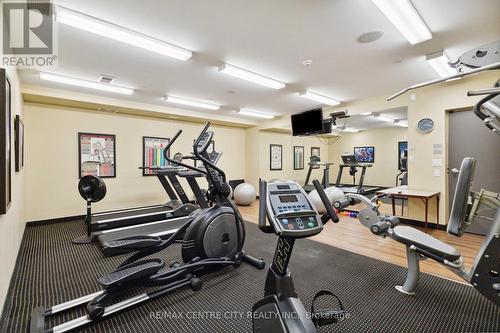 Exercise Room - 314 - 1030 Coronation Drive, London, ON - Indoor Photo Showing Gym Room