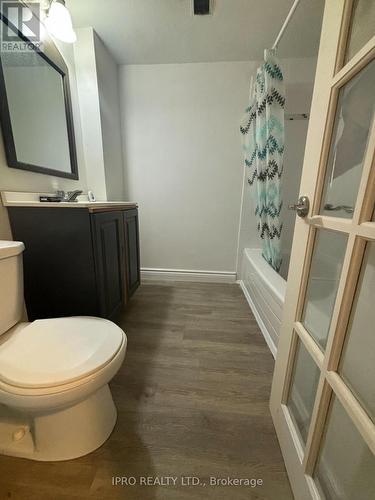 D-Lower - 58 Simcoe Road, Bradford West Gwillimbury, ON - Indoor Photo Showing Bathroom