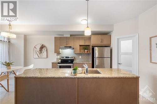 723 Teasel Way, Ottawa, ON - Indoor Photo Showing Kitchen With Stainless Steel Kitchen With Double Sink With Upgraded Kitchen